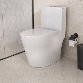 Vaso Sanitário Monobloco Completo - Caixa Acoplada Privada Acies Tubrax
